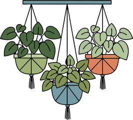 Three Hanging Potted Plants with Macrame Hangers Flat Vector Illustration © Iendah
