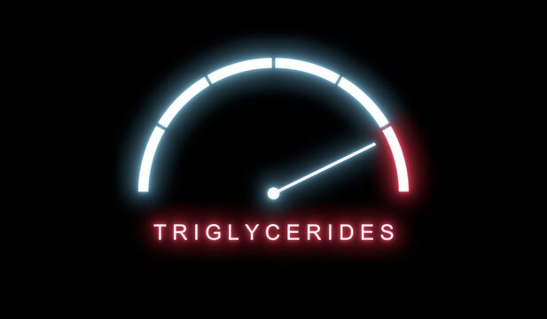 Triglycerides meter. Increasing and high levels, overload. Maximum triglycerides value, off the charts. Cholesterol management, heart health, and medical diagnostics. Risk meter animation.