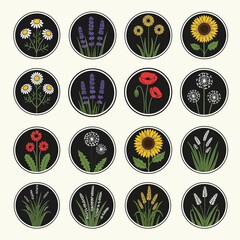 Charming collection of botanical icons featuring daisies, lavender, poppies, sunflowers, dandelions, and wheat for natural designs