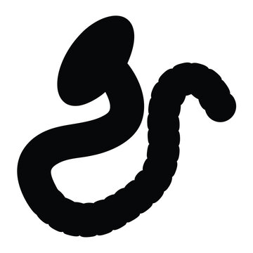Stylized earthworm or parasite rendered in black on a white background