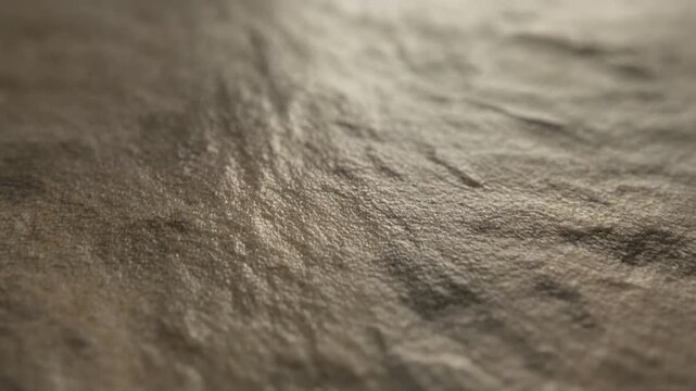 Close-up view of textured surface with intricate patterns and natural fibers