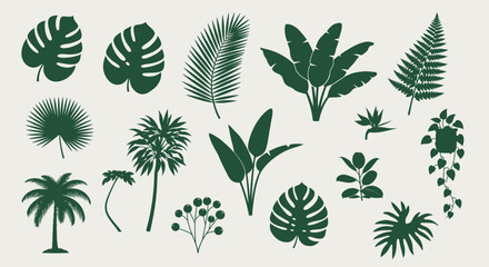Collection of various tropical leaves and plants silhouettes. © Abhinaya Project