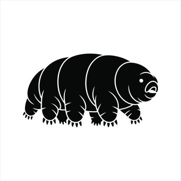 Black silhouette of a tardigrade also known as water bear moss piglet microscopic animal