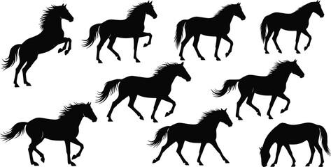 Horse silhouettes, equestrian icons, animal posture figures, gallop trot walk graze artwork, motion behavior design elements - flat vector illustration © MD Tariful islam