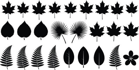 Leaf silhouette collection, maple fern palm heart shapes, botanical illustration design, flower vector artwork, foliage clipart set, flat vector illustration © MD Tariful islam