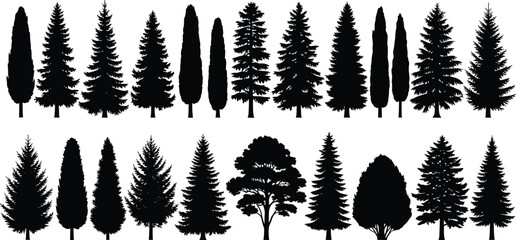 Tree silhouette collection, diverse forest shapes, coniferous and deciduous outlines, botanical illustration, landscape design elements, nature clipart, flat vector illustration © MD Tariful islam