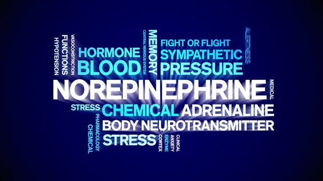 Norepinephrine animated word cloud-text design animation tag kinetic typography seamless loop.