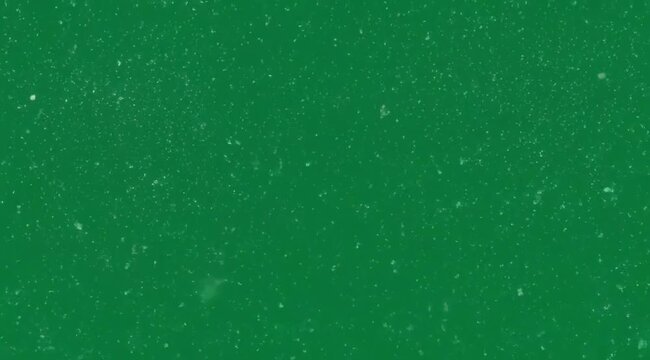 Vibrant green background with sparkling particles moving dynamically