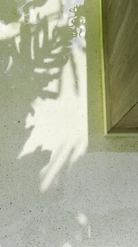 Tropical plant shadows and sunlight reflections moving on poolside water. Calm resort-style scene ideal for travel, spa, wellness, and aesthetic tropical background visuals.