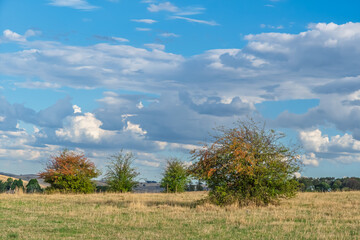 Fototapeta premium Soft Afternoon Light Over Rural Field
