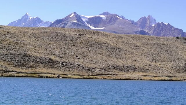 Wide static view of blue Chandratal Lake surrounded by golden hills and Himalayas