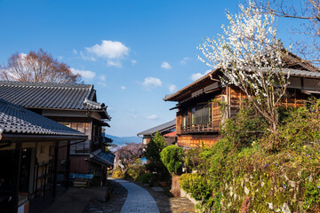 Magome juku  town with cherry blossom in spring, Kiso valley © Blanscape