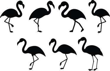 Fototapeta premium Collection of seven black silhouette flamingos in various elegant poses on a clean white background, vector art