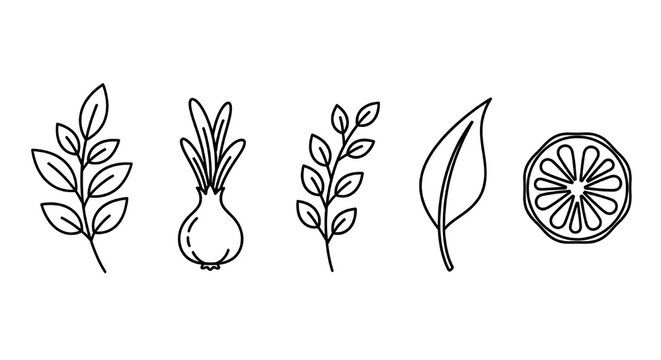 Dibujos bot&aacute;nicos sencillos con ramas de olivo, un higo, una hoja y un aguacate, ideales para marcas de alimentos org&aacute;nicos, promociones de estilos de vida saludables y envases de productos naturales.