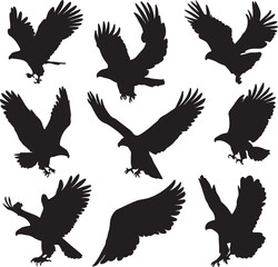 Obraz premium silhouettes of eagle