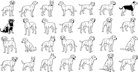 Obraz premium Collection of Dog Breeds and Poses, Outline Style
