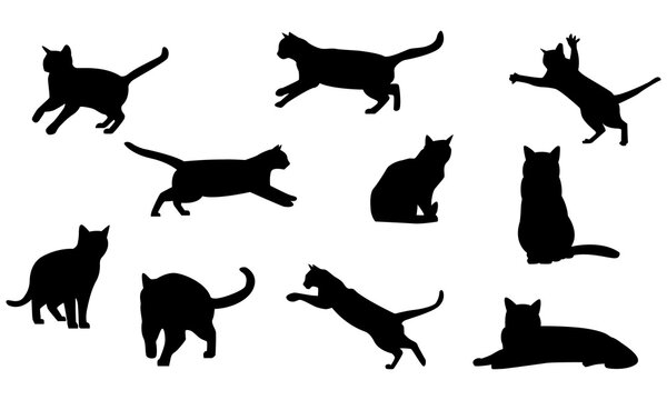 Cat Silhouette Bundle Set in Different Poses Isolated on White background, vector illustration.