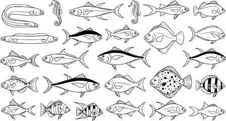 Fish Variety Sketch: Diverse Marine Life Collection in Black and White Outline © pixsource