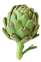 Obraz premium Single Raw Green Artichoke Isolated on Transparent Background
