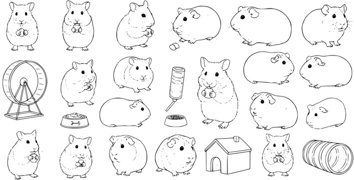 Detailed line art set of cute hamsters and guinea pigs in various poses, with pet accessories like a wheel, food bowl, water bottle, house, and tunnel. Black and white animal illustrations.