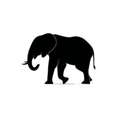 Obraz premium Silhouette of a majestic elephant walking gracefully against a white background.