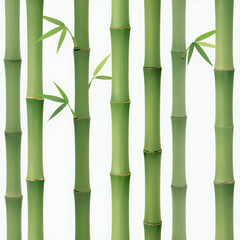 Fototapeta premium Vertical Bamboo Stalks with Green Leaves on White Background Natural Forest Element for Eco Design or Wellness Branding Illustration