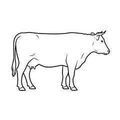 A simple line drawing of a cow standing in profile view, illustration, farm animal scene