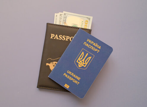 Ukrainian passport with US dollar banknotes in leather cover on gray background, travel and immigration finance concept