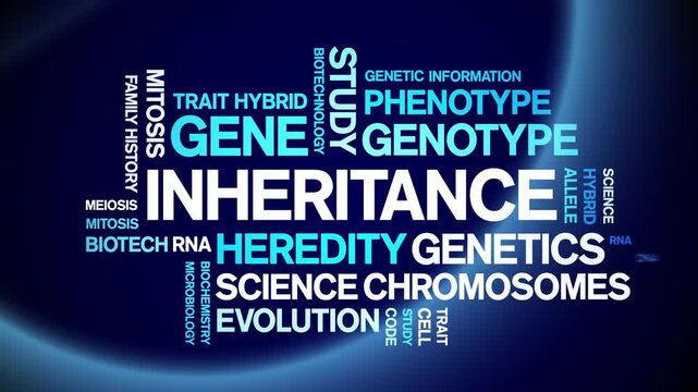 inheritance animated word cloud-text design animation tag kinetic typography seamless loop.