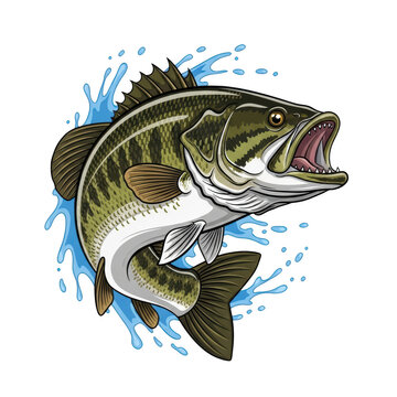 Majestic bass fish with vibrant underwater splashes and dynamic blue accents