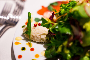 サラダ ベース の オードブル 【 健康的 な 食事 の イメージ 】