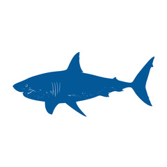Obraz premium Blue silhouette of a great white shark swimming in the ocean against white background.