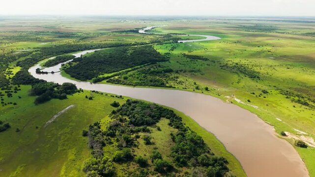 Aerial view of a winding river flowing through the vibrant green savanna of the colombian llanos