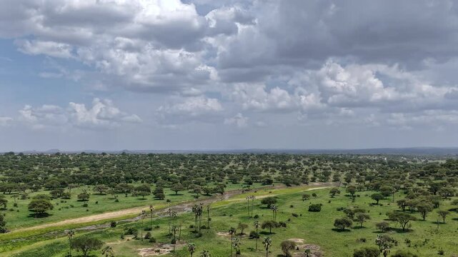 Drone shot of Tarangire National Park slowly panning over the landscape during green season