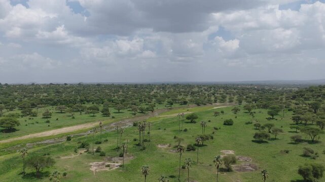 Drone shot of Tarangire National Park slowly panning over the landscape during green season