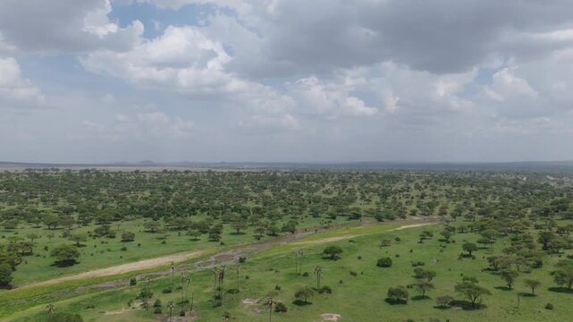 Drone shot of Tarangire National Park slowly panning over the landscape during green season