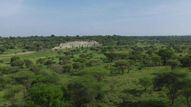 Drone shot of the landscape in Tarangire National Park and the river during green season.
