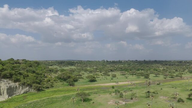 Drone shot of Tarangire National Park slowly panning over the landscape during green season