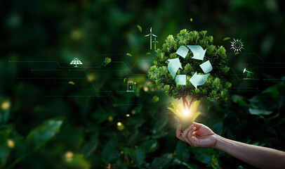 Fototapeta premium Hand holding with tree growing with icon recycle on tropical nature green nature, Earth day, Sustainable and economical, Protection Ecology and Environment concept.