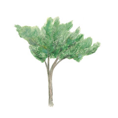 Fototapeta premium Watercolor tree with twisted trunk and lush green foliage. Elegant Asian inspired illustration isolated on black background, ideal for zen themes, interior decor, posters, branding and tattoo d