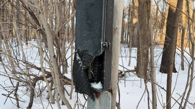 Broken fuse box in snowy Toronto forest, winter damage, tranquility