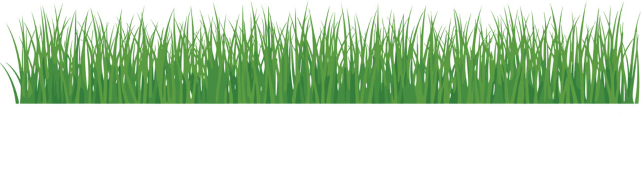 Seamless green grass border vector illustration featuring lush garden blades and natural meadow lawn elements for summer landscape backgrounds, outdoor nature branding, and ecological designs.