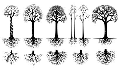 Fototapeta premium Black leafless tree and root silhouette collection hand drawn vector illustration isolated on white background