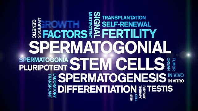 Spermatogonial Stem Cells animated word cloud-gross domestic product animation tag kinetic typography seamless loop.