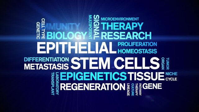 Epithelial Stem Cells animated word cloud-gross domestic product animation tag kinetic typography seamless loop.