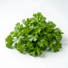 Fototapeta premium Fresh green cilantro leaf isolated on a white background, ideal for culinary use