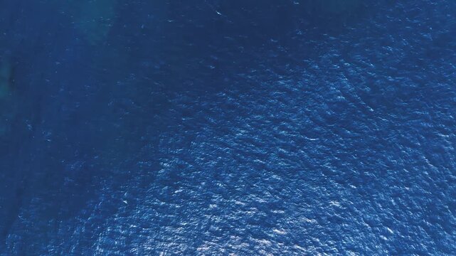 太陽が煌めく深い青の海面｜ドローンによる真上からの抽象的な波のテクスチャ
