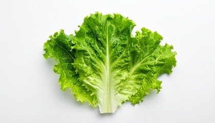 Obraz premium Fresh green lettuce leaf on white background showcasing natural textures and vibrant color for healthy living concepts.