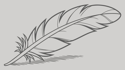 Obraz premium Detailed Hand Drawn Feather Illustration with Shading.