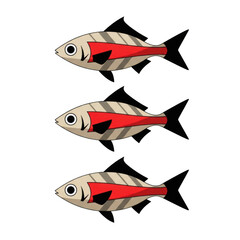 Three vibrant tropical fish swimming together in a clean, bright aquatic environment